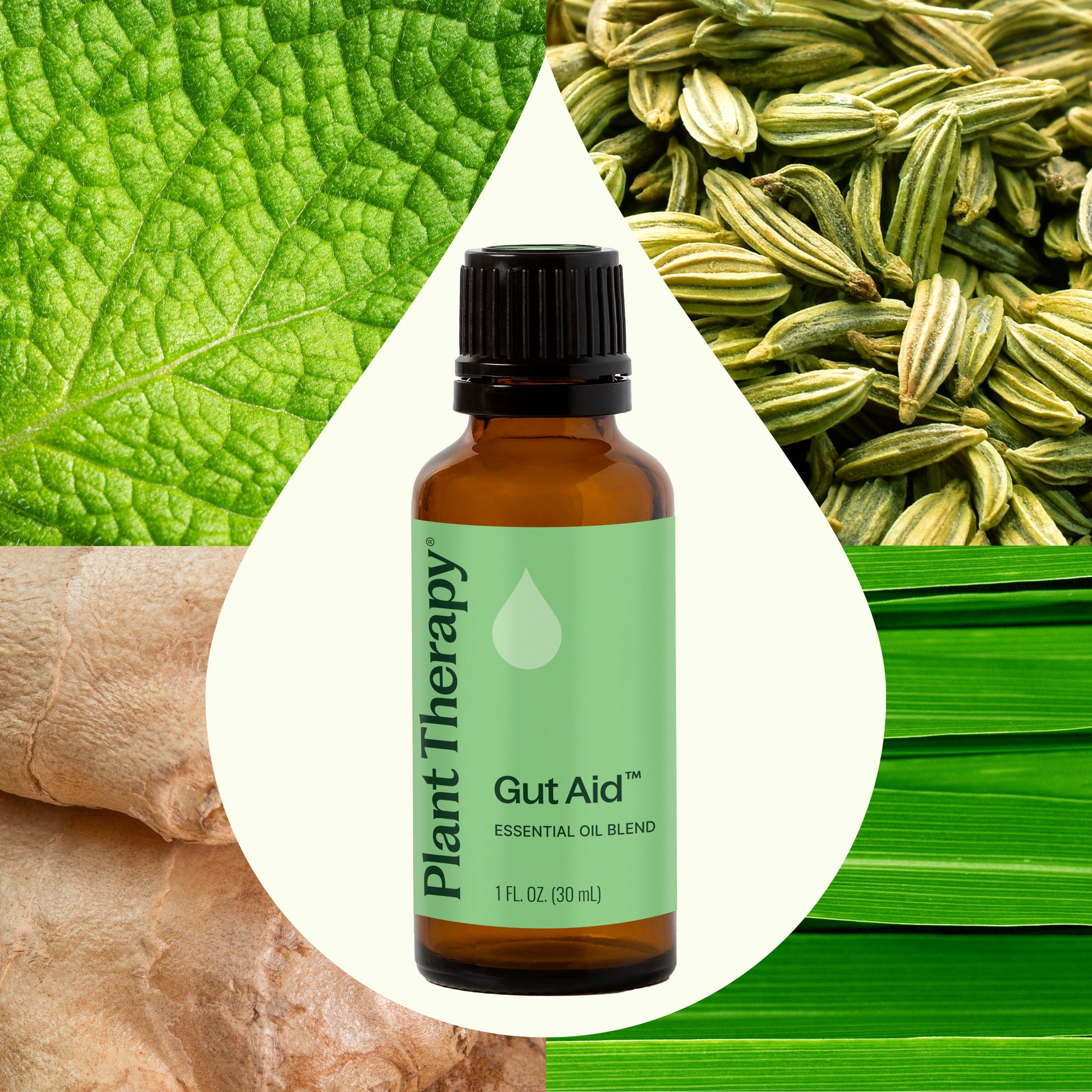 Gut Aid™ Essential Oil Blend