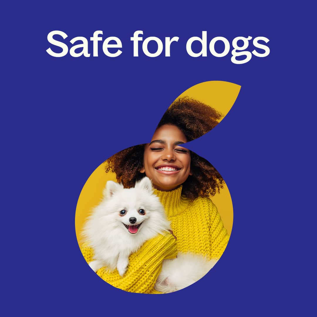 Hangover Recovery Essential Oil Blend 10mL