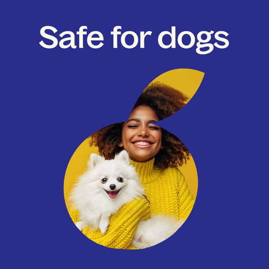 Hangover Recovery Essential Oil Blend 10mL