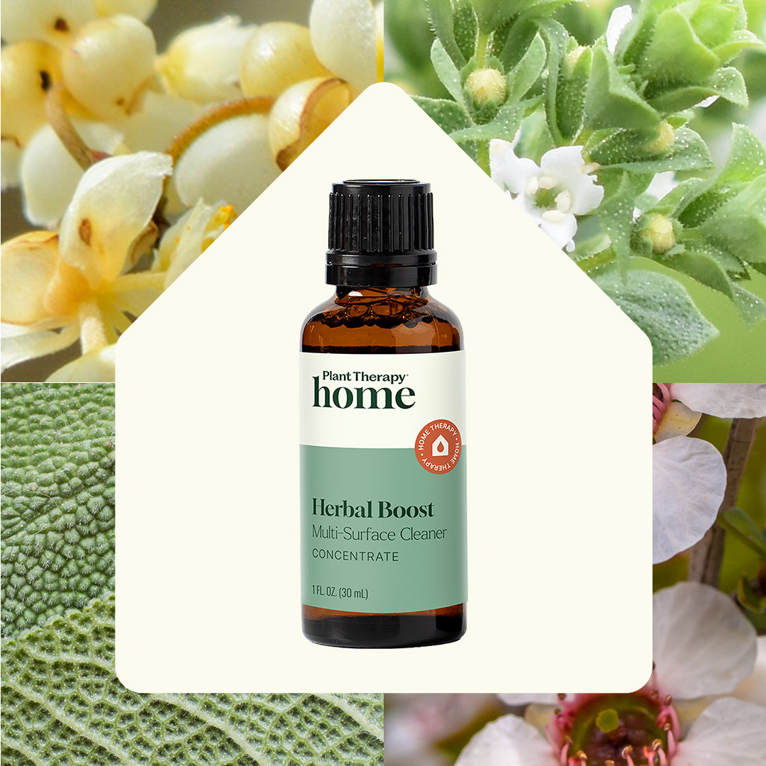 Herbal Boost Multi-Surface Cleaner Concentrate 30 mL 2 pack