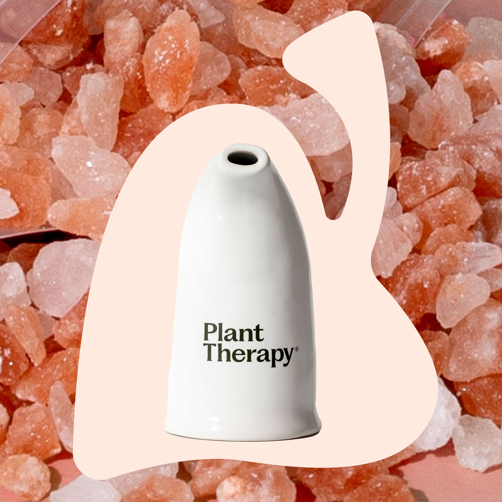 Himalayan Salt Inhaler – Plant Therapy