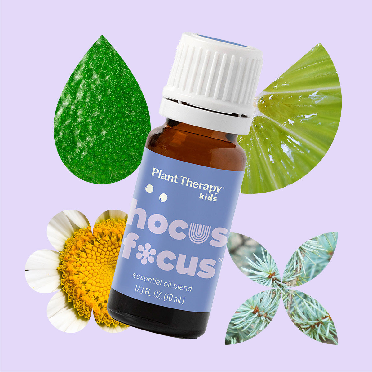 Hocus Focus Essential Oil Blend – Plant Therapy