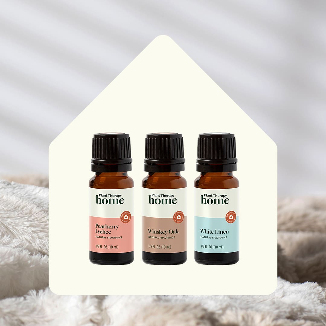 Home Aroma Trio Set – Plant Therapy