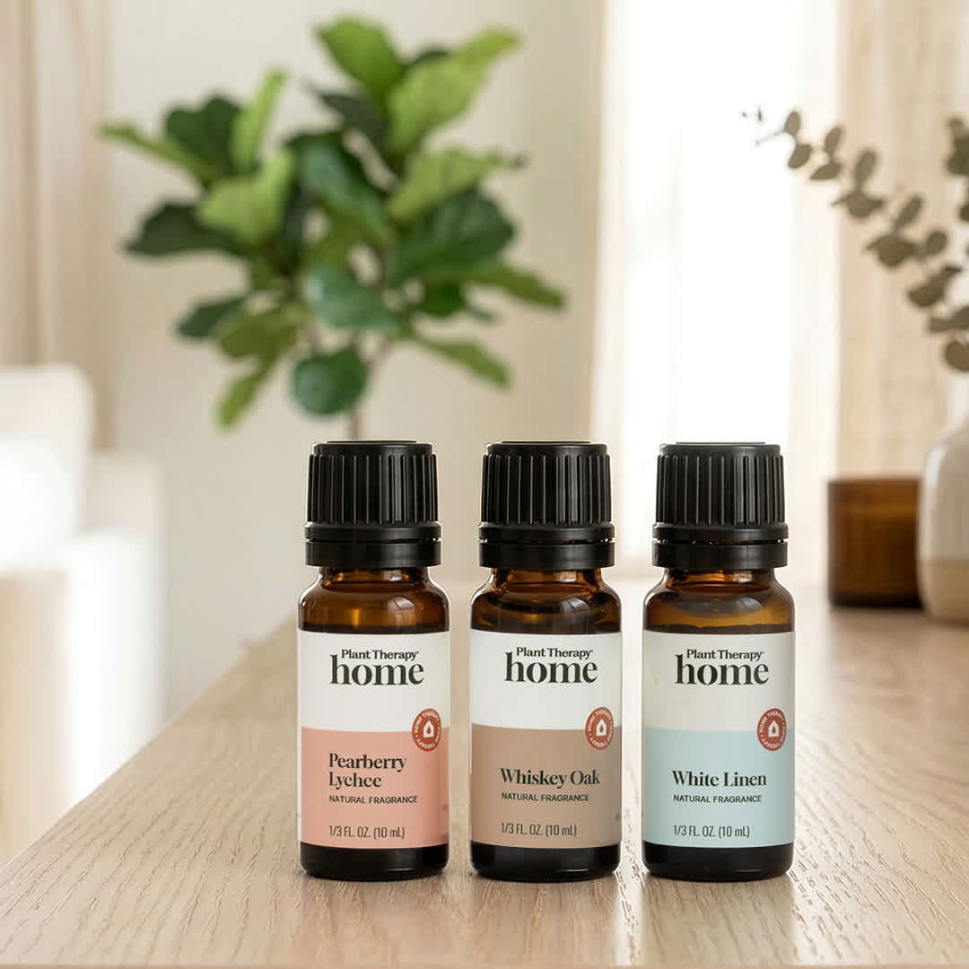 Home Aroma Trio Set – Plant Therapy