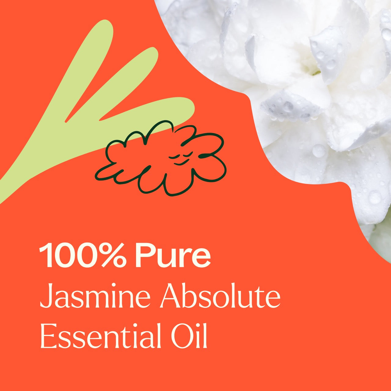 100% pure Jasmine Absolute