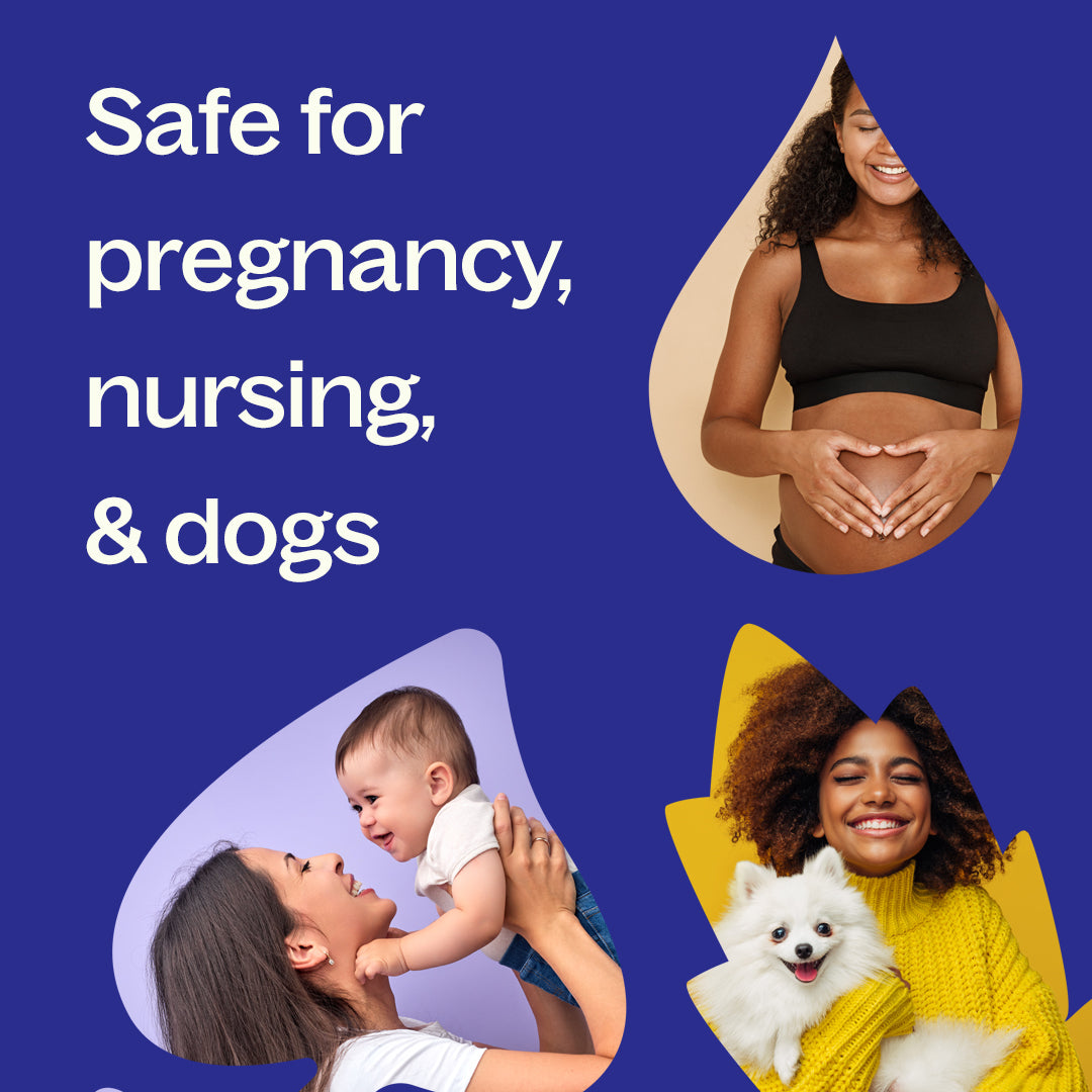 Jasmine Grandiflorum Absolute