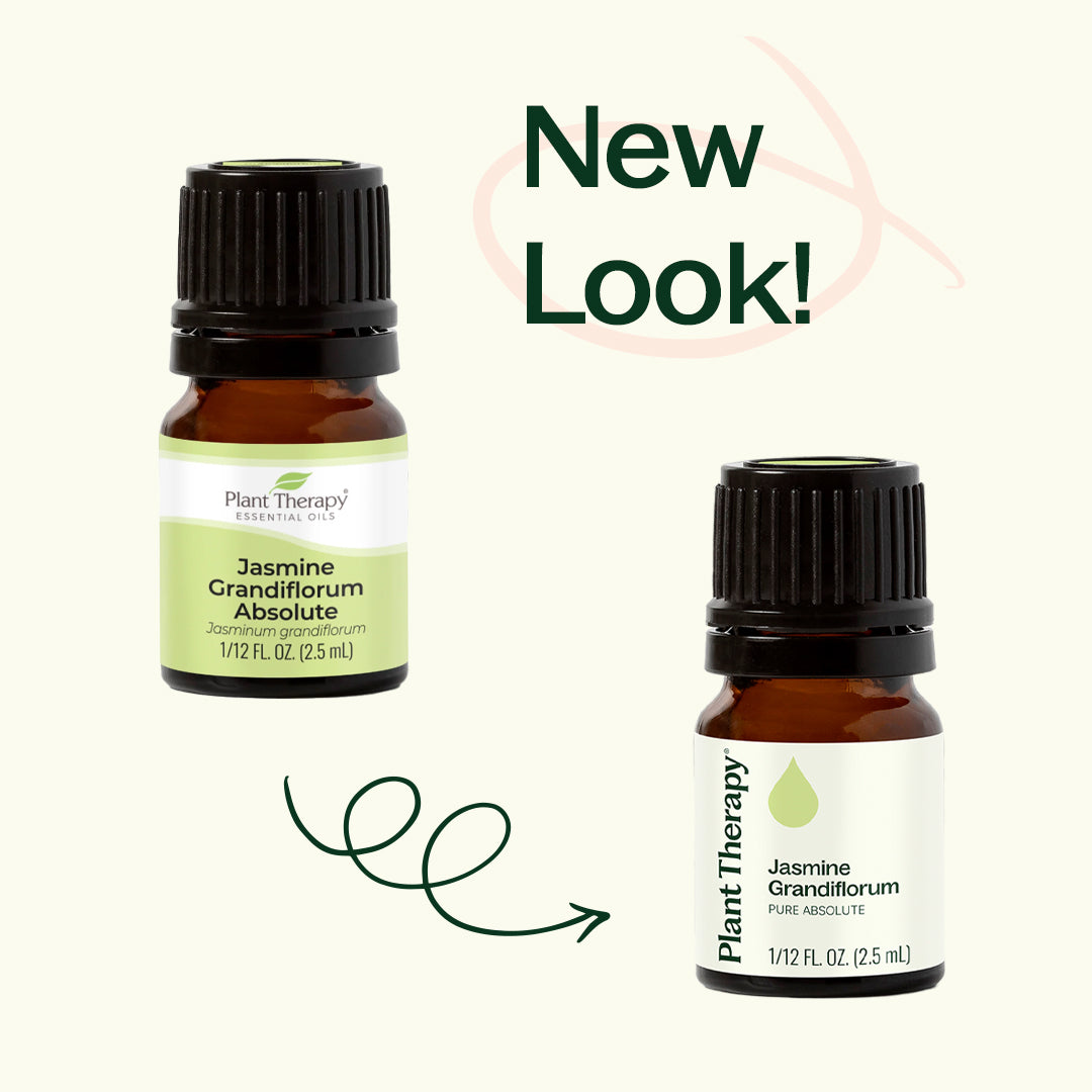 Jasmine Grandiflorum Absolute