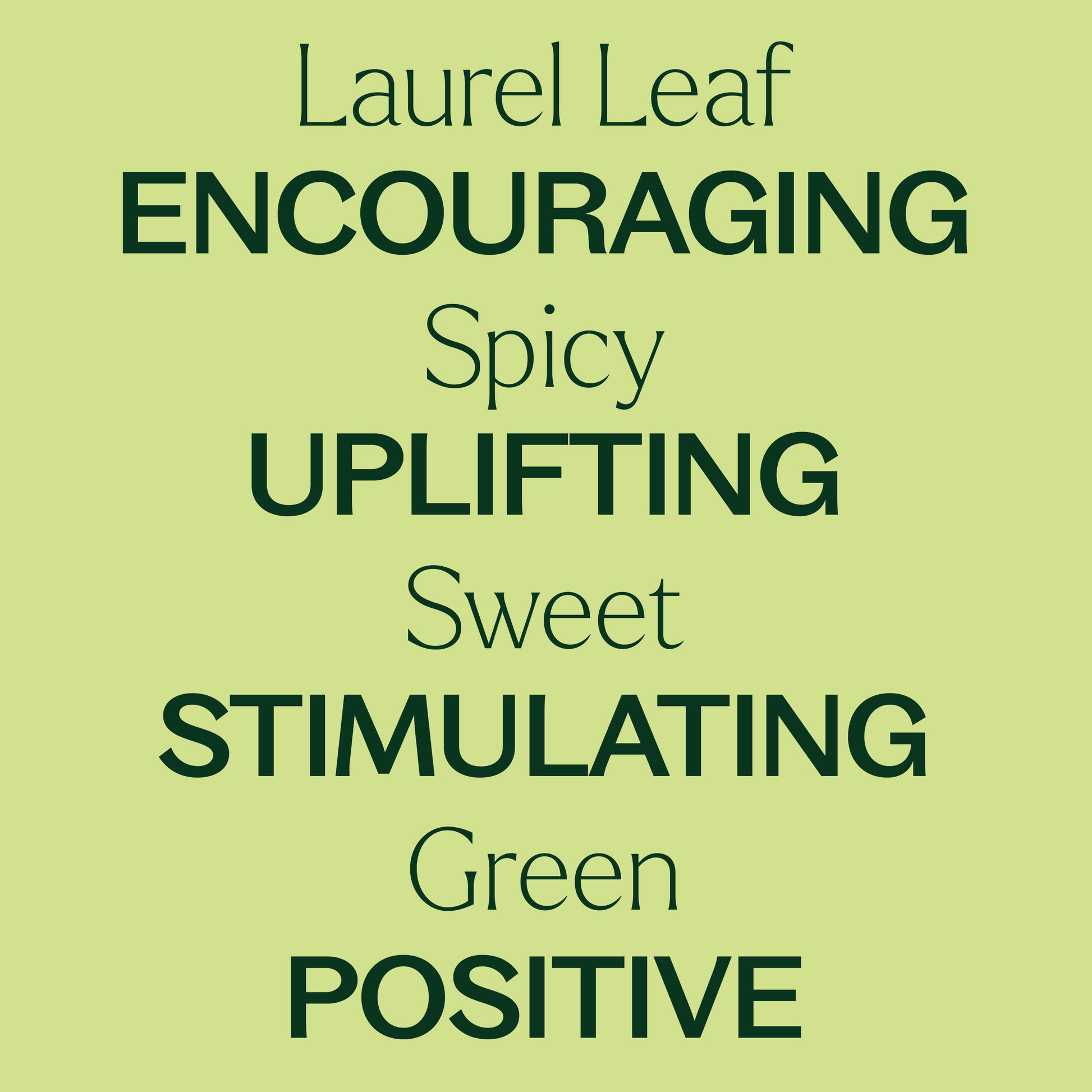 Laurel Leaf Essential Oil