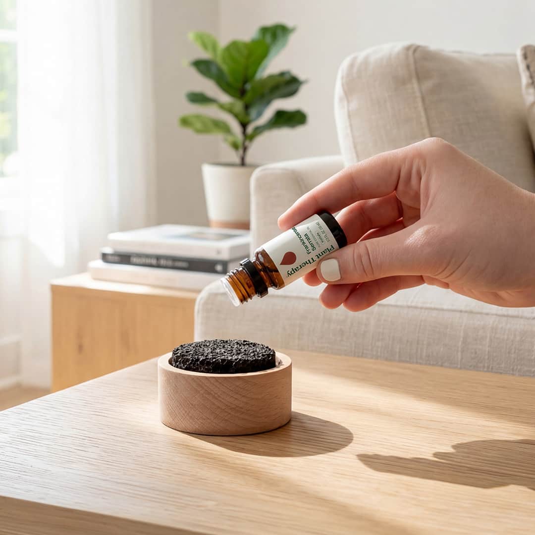 Plant Therapy Lava Rock Diffuser - Thumbnail 4