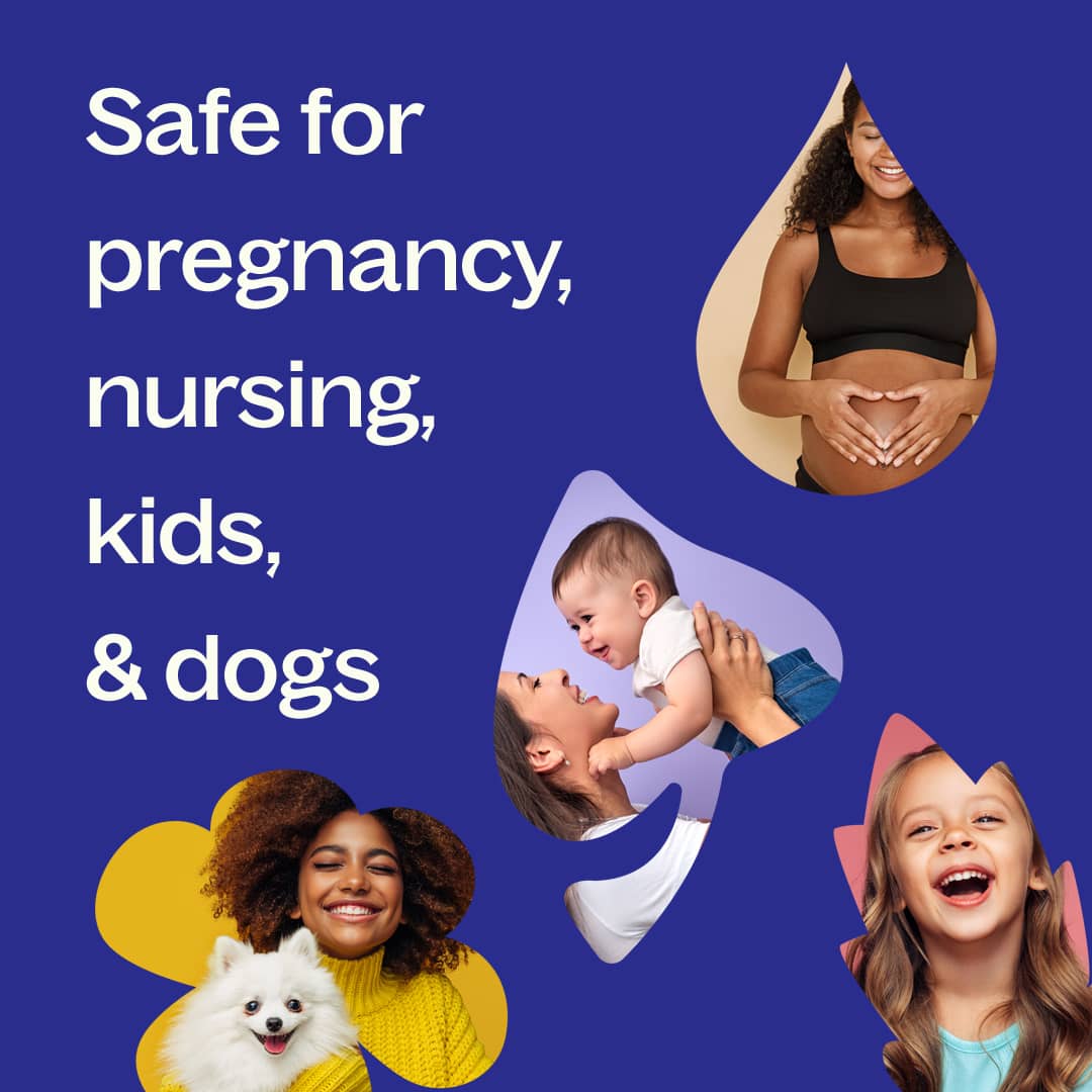 Lavandin Essential Oil