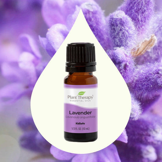 Lavender Essential Oil key ingredient image