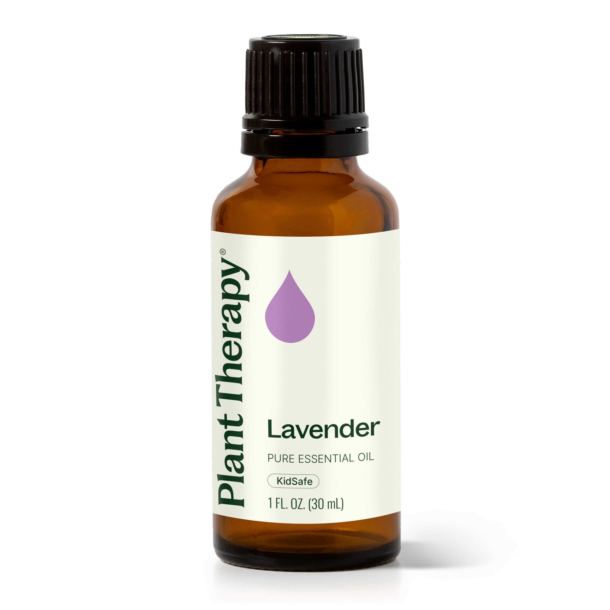 lavender oil plants Plant Therapy Lavender Essential Oil 30 ml