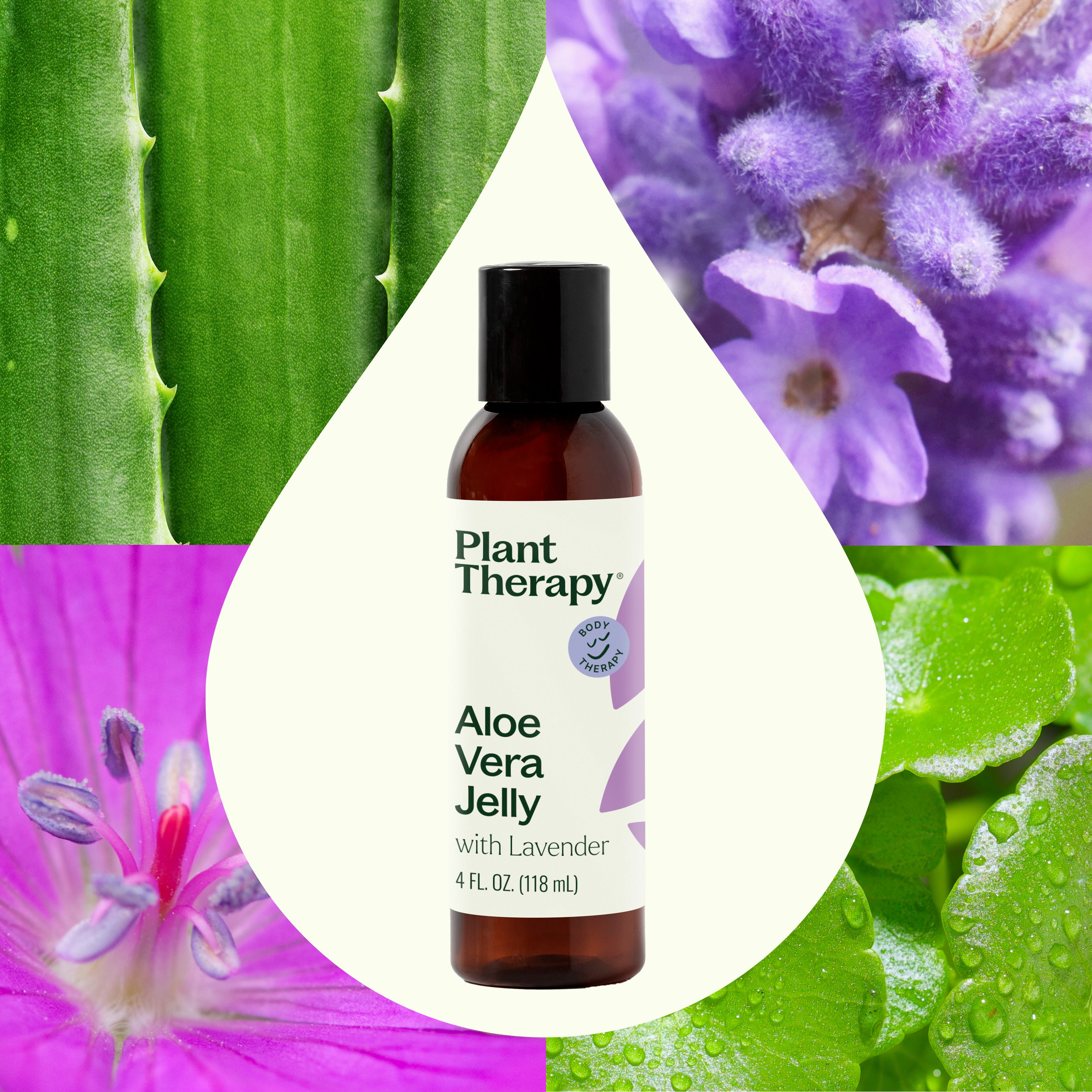 Lavender Aloe Vera Jelly – Plant Therapy