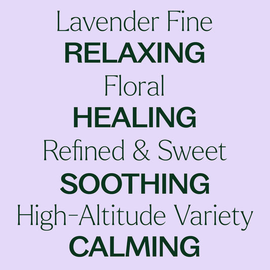 Lavender Fine Essential Oil