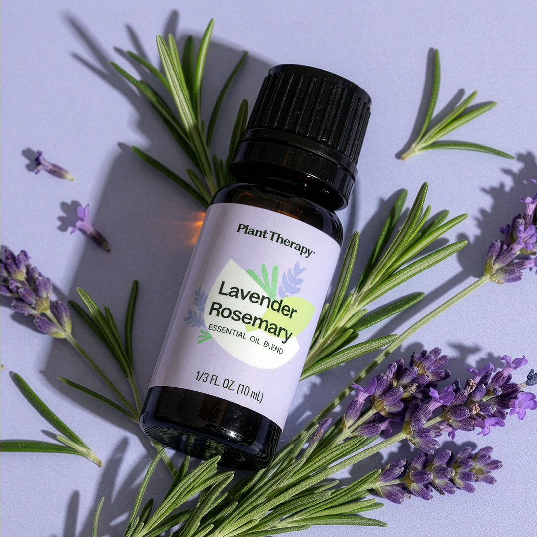 buy lavender and rosemary plants Lavender Rosemary Essential Oil Blend – Plant Therapy