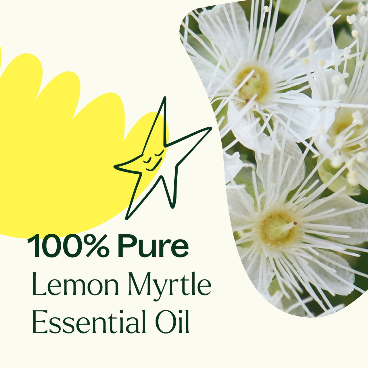 100% pure Lemon Myrtle Essential Oil