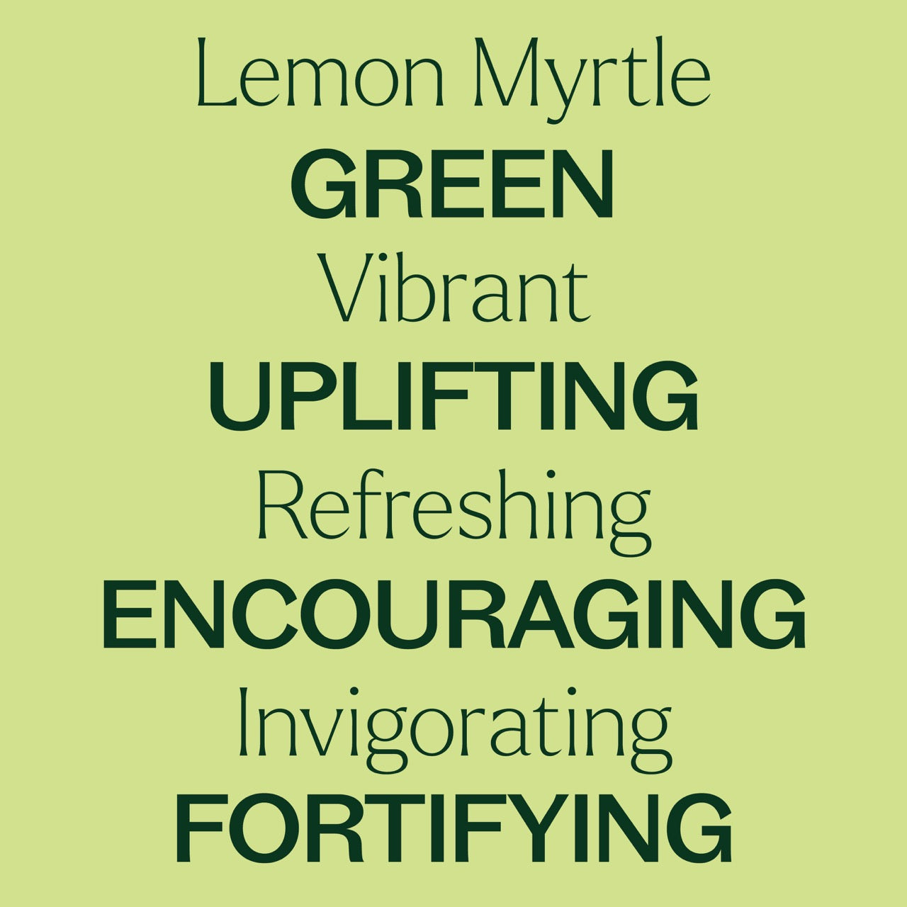 Key features of Lemon Myrtle Essential Oil: Green, vibrant, uplifting, refreshing, encouraging, invigorating, fortifying
