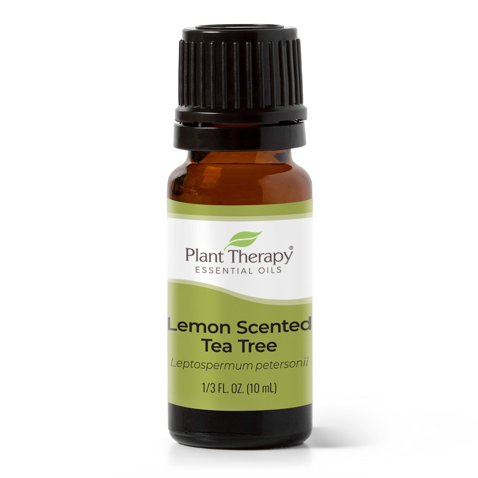 Plant Therapy Lemon Tea Tree Essential Oil 100% Pure, Undiluted