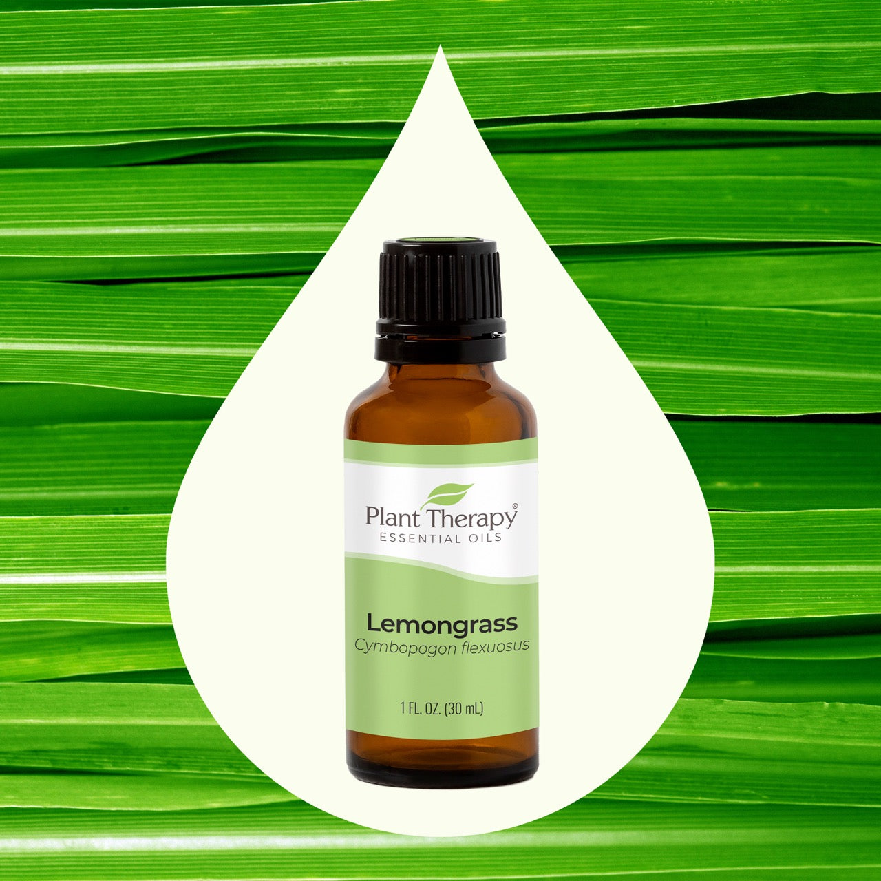 Lemongrass Essential Oil Key ingredient image