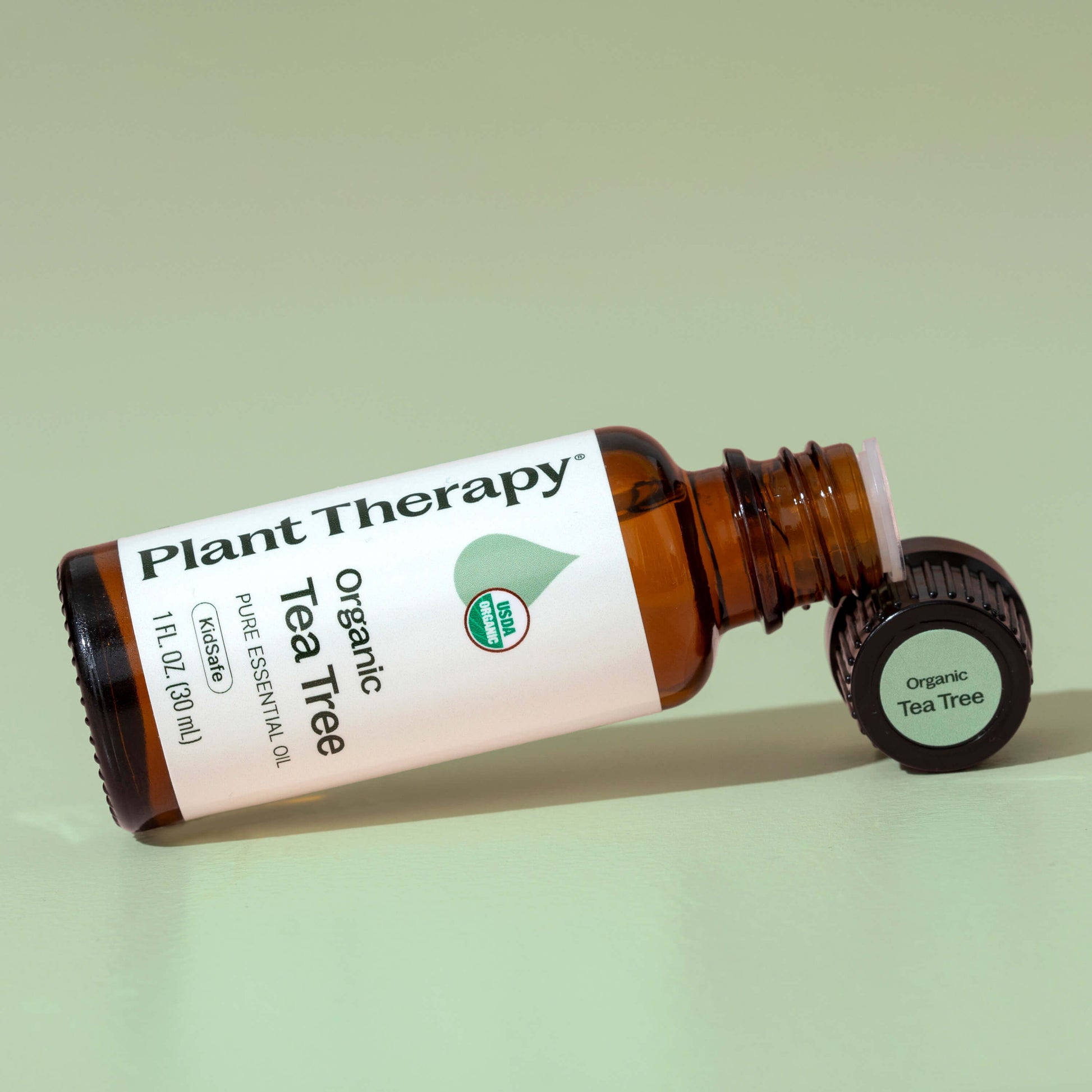 tea tree oil for indoor plants Tea Tree Organic Essential Oil 10 ml