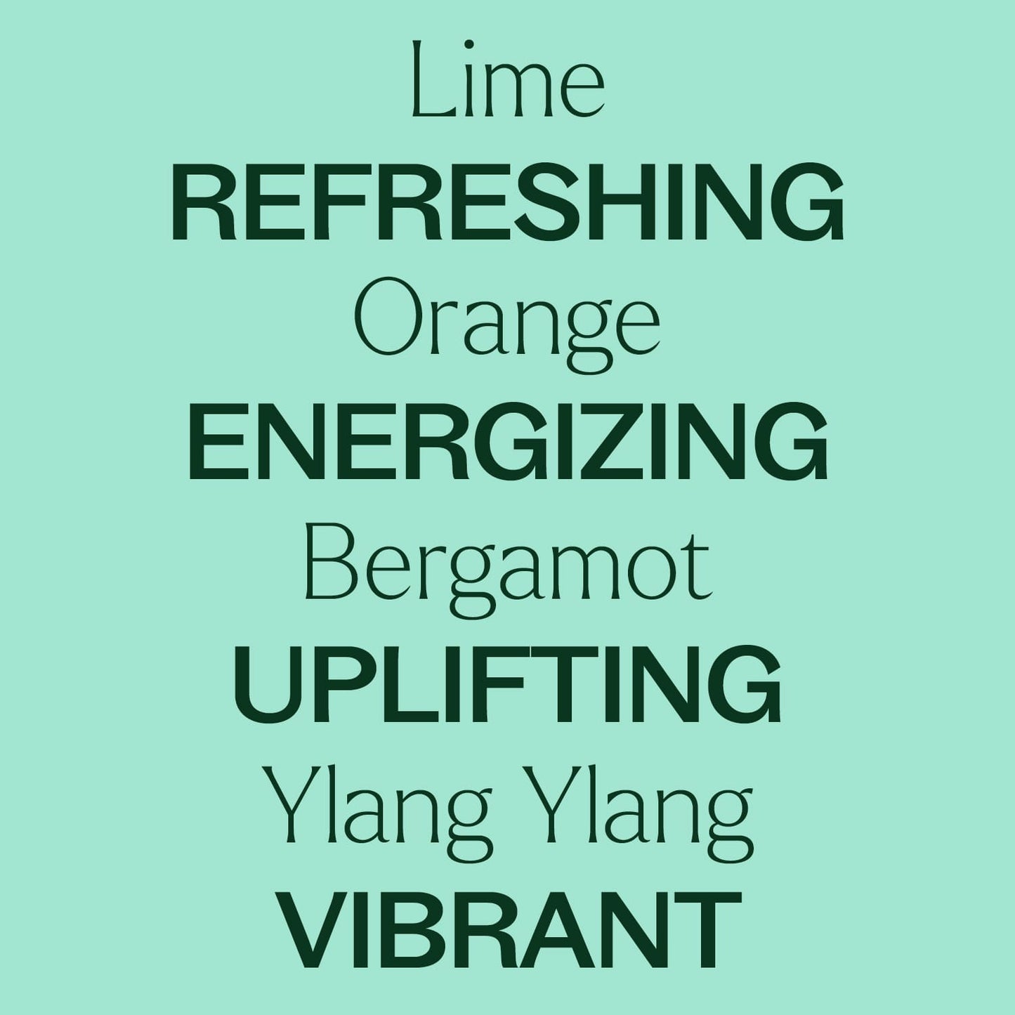Lime Twist Essential Oil Blend