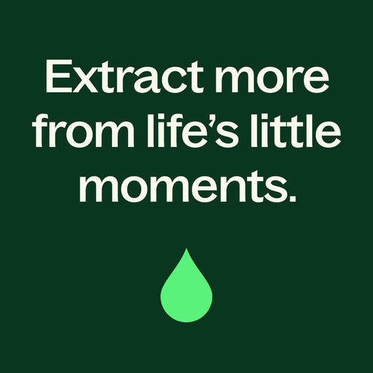 Lime Twist Essential Oil Blend