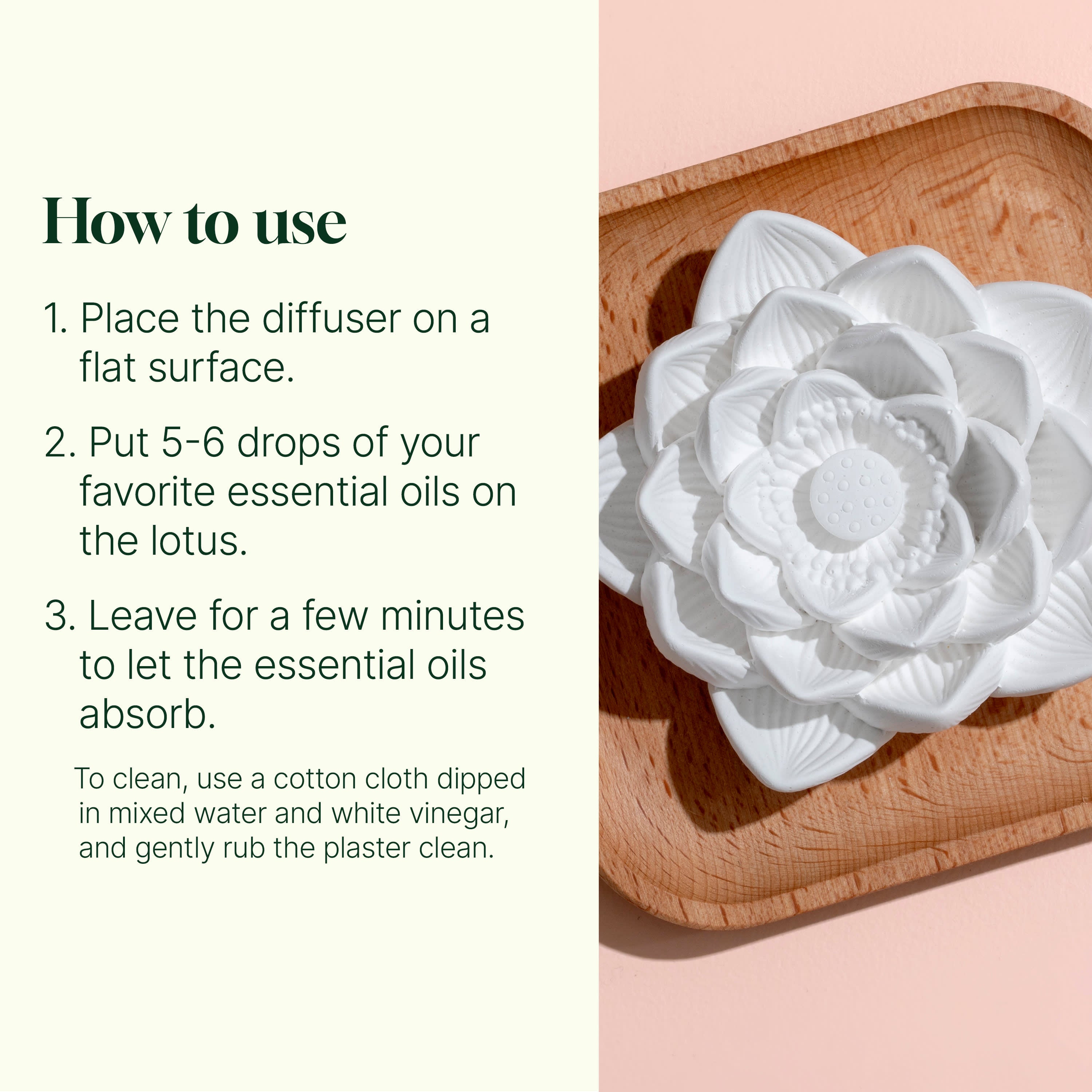 Passive Lotus Diffuser | No Heat, No Water | Plant Therapy