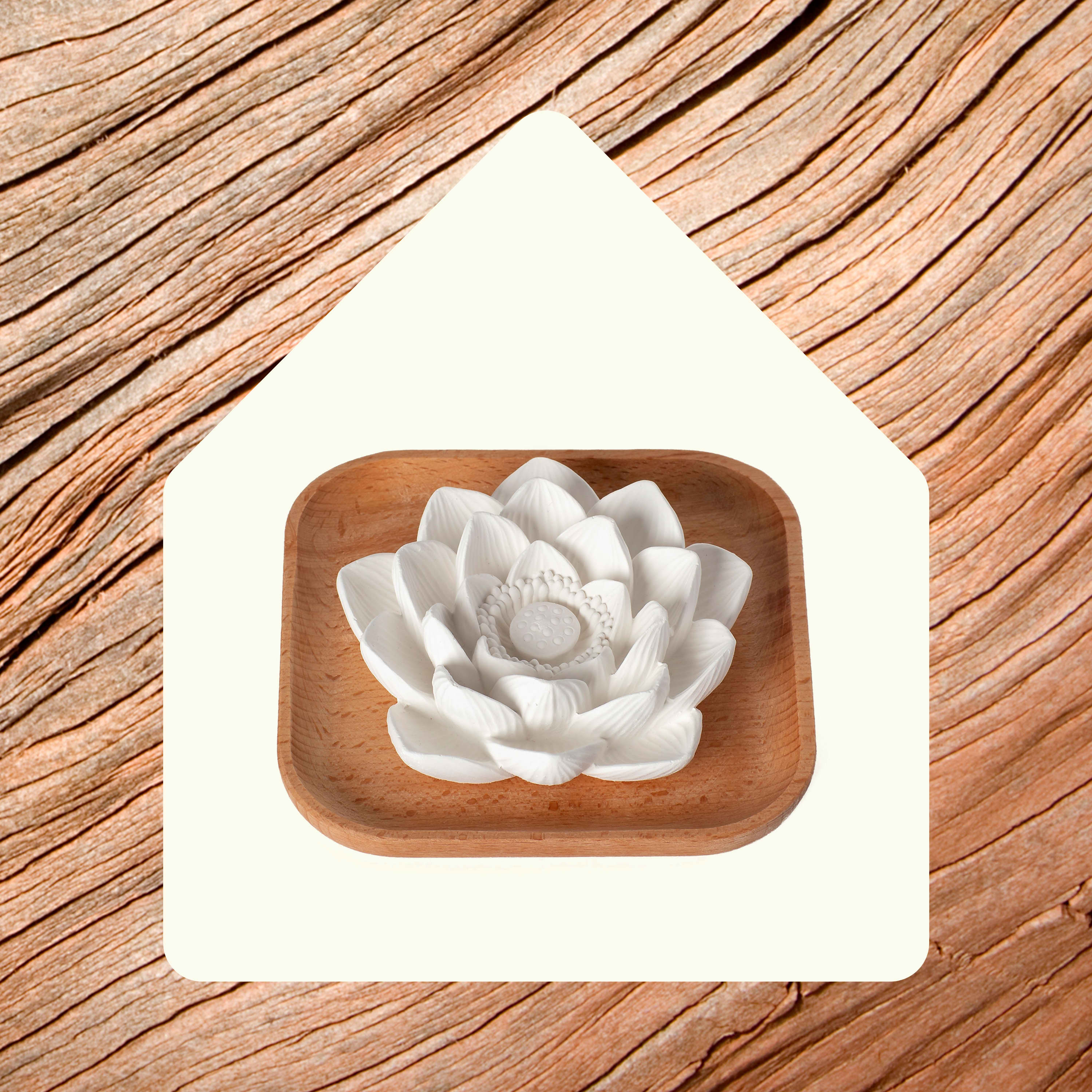 Passive Lotus Diffuser | No Heat, No Water | Plant Therapy