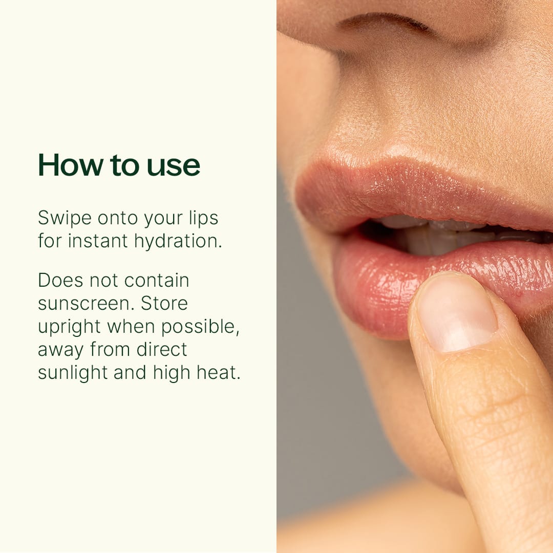 Maple Bar Natural Lip Balm