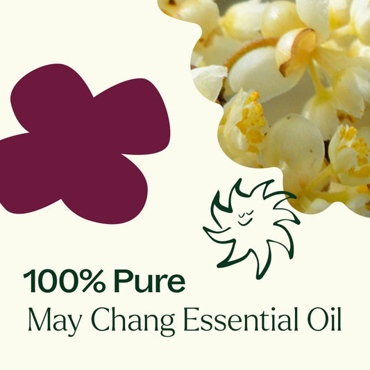 May Chang Essential Oil
