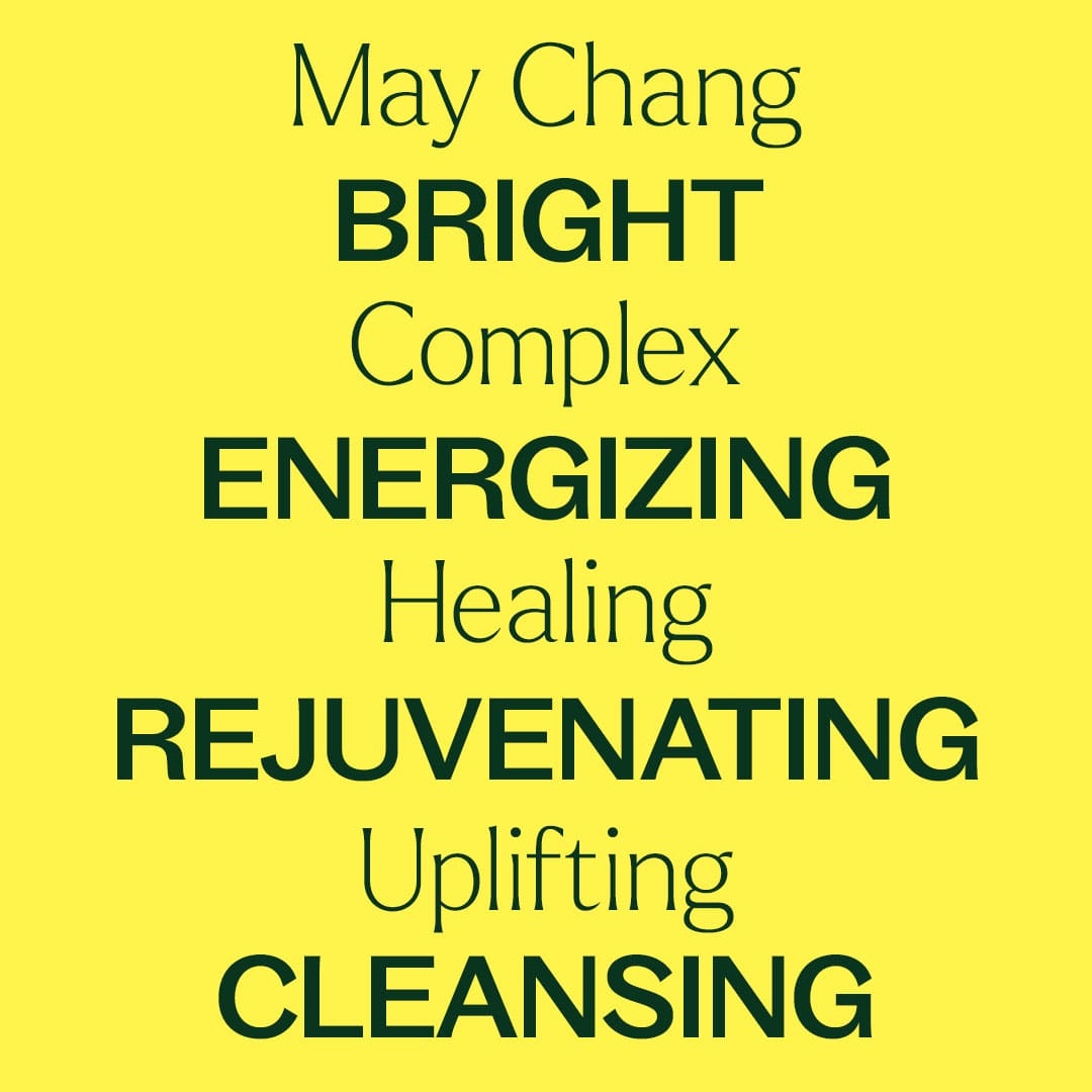 May Chang Essential Oil