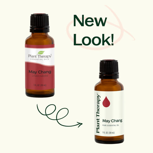 May Chang Essential Oil