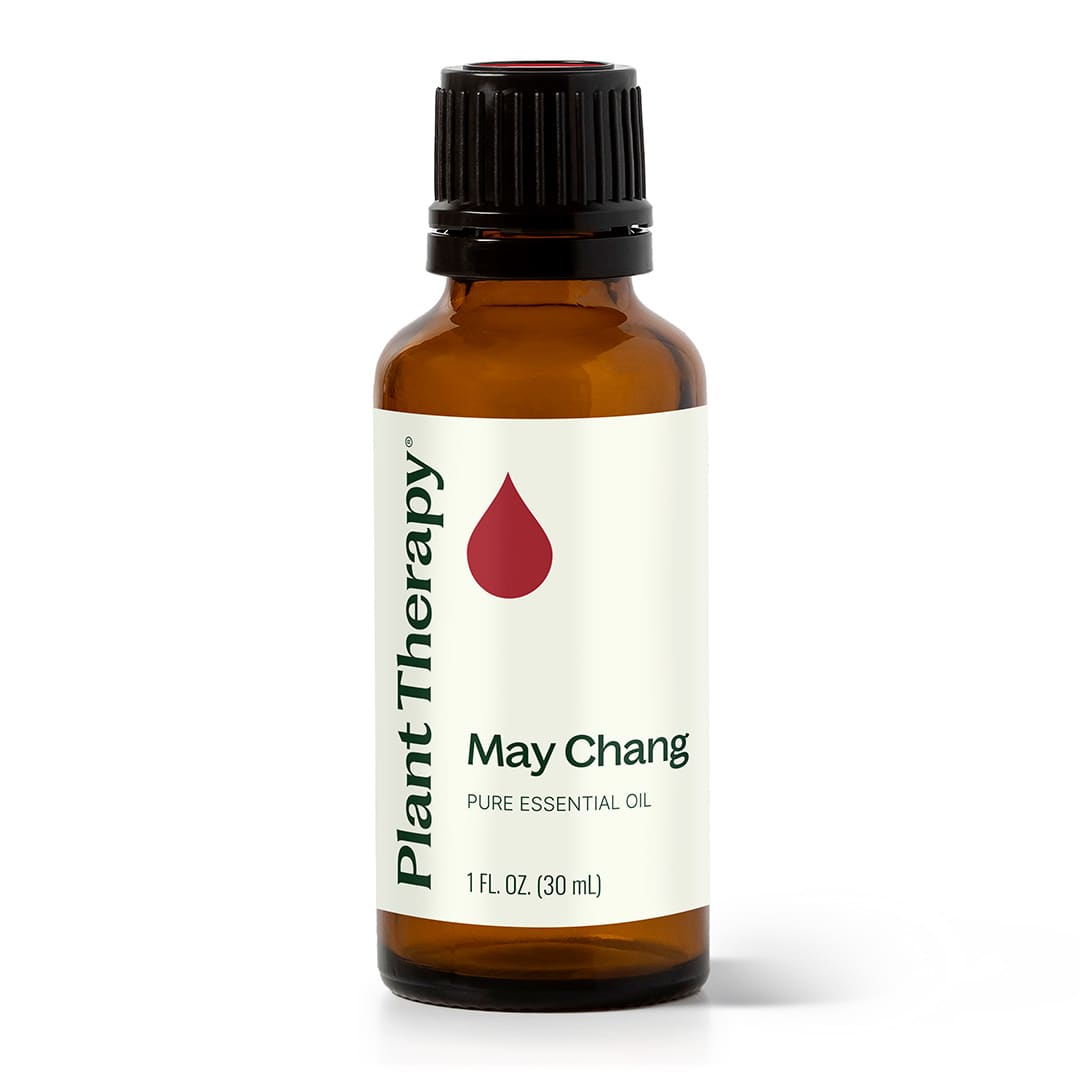 May Chang Essential Oil