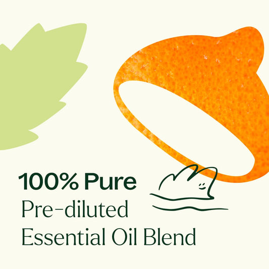 Motion Sickness Essential Oil Blend Pre-Diluted Roll-On