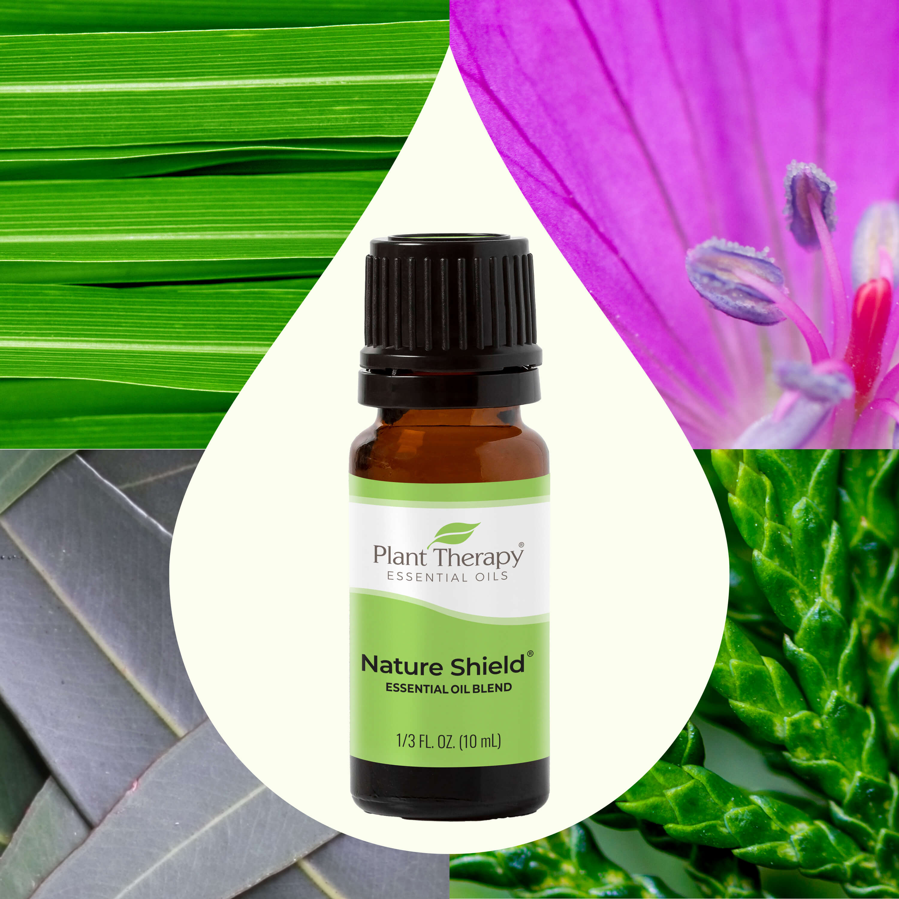 Nature Shield Essential Oil Blend – Plant Therapy