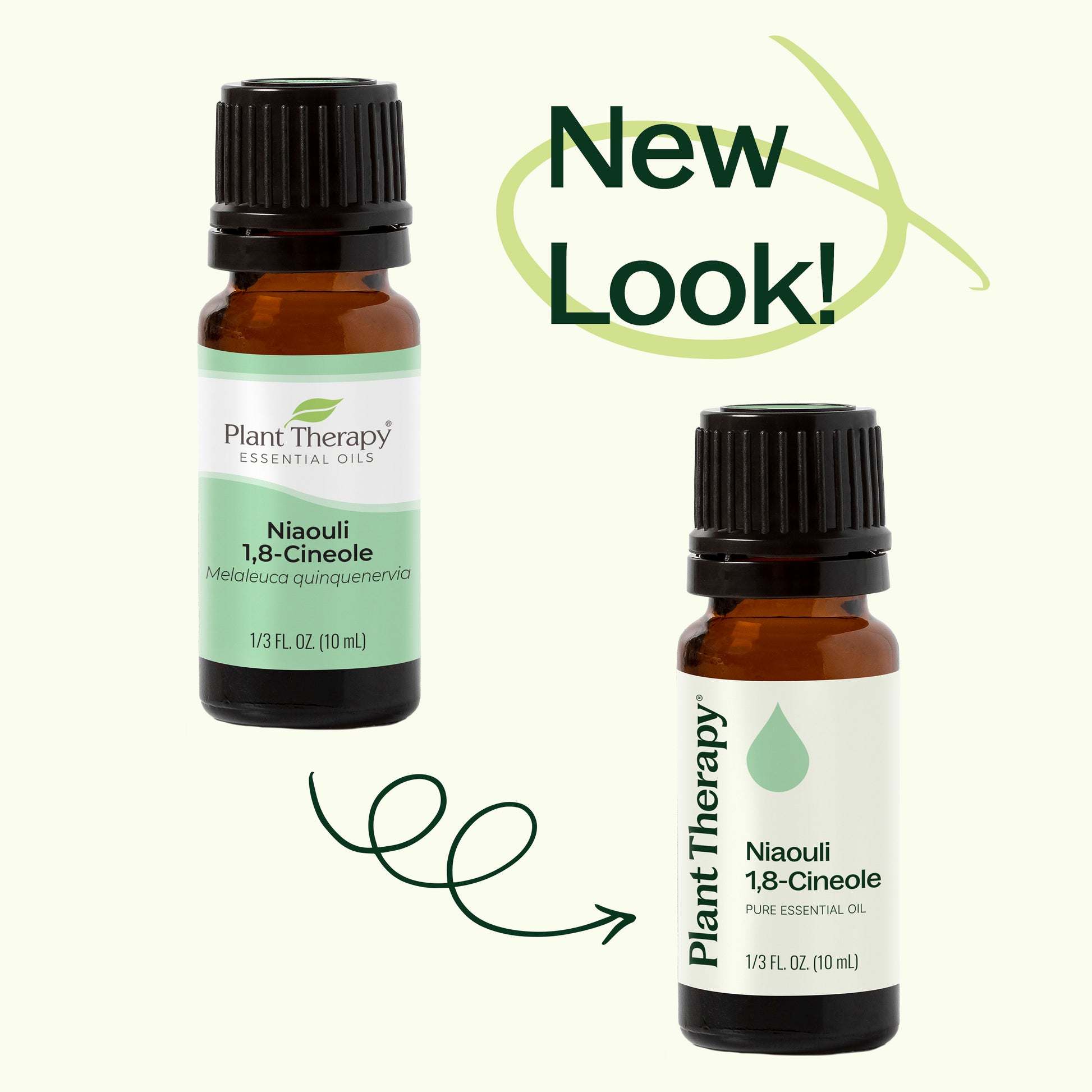 Niaouli 1,8-Cineole Essential Oil