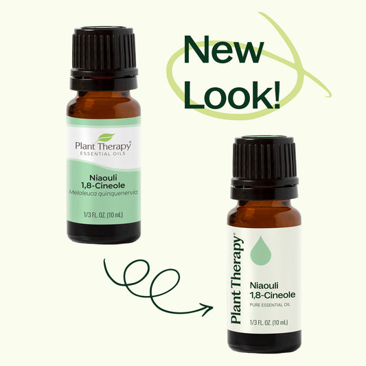 Niaouli 1,8-Cineole Essential Oil