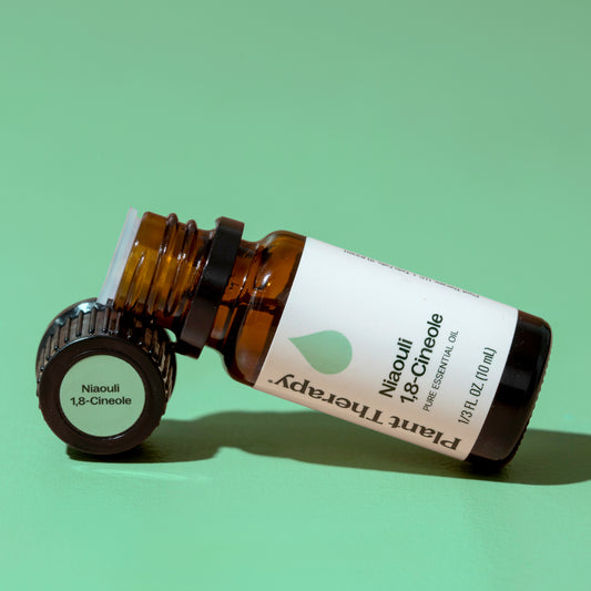 Niaouli 1,8-Cineole Essential Oil
