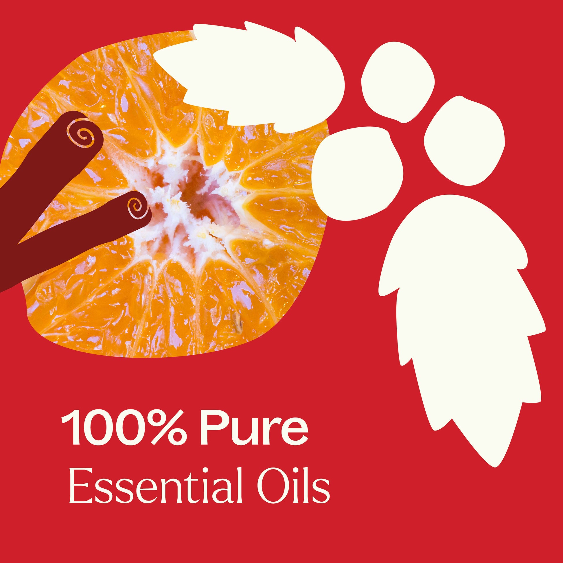 Nutcracker Essential Oil Blend