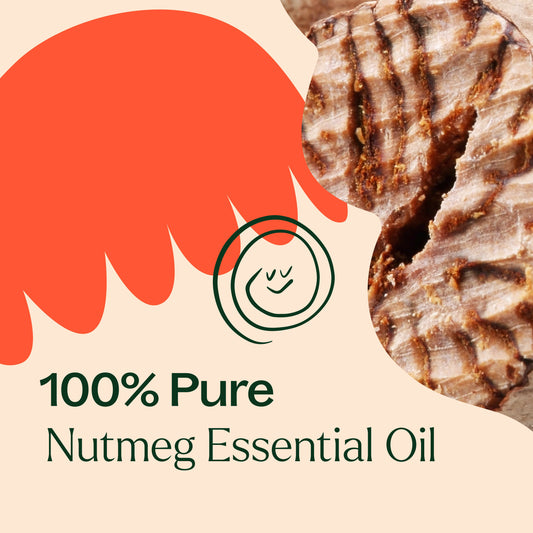 Nutmeg Essential Oil