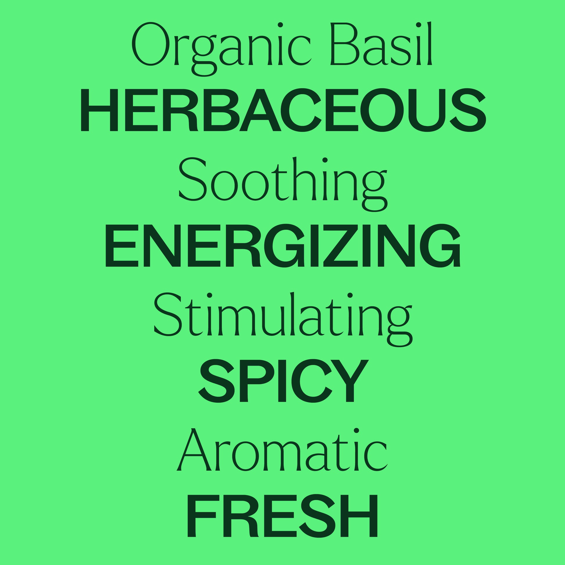 Organic Basil Linalool Essential Oil