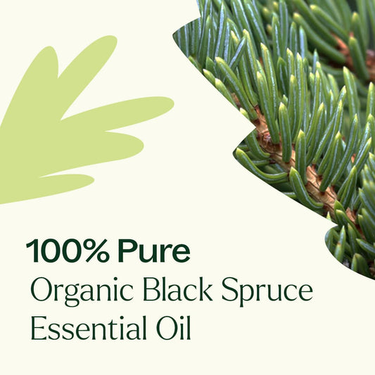 Organic Black Spruce Essential Oil