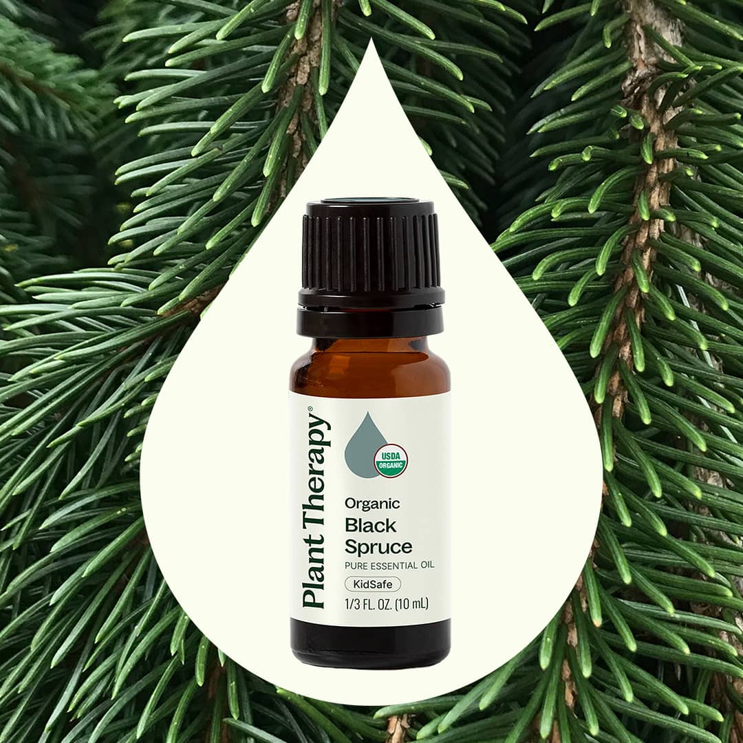 Organic Black Spruce Essential Oil