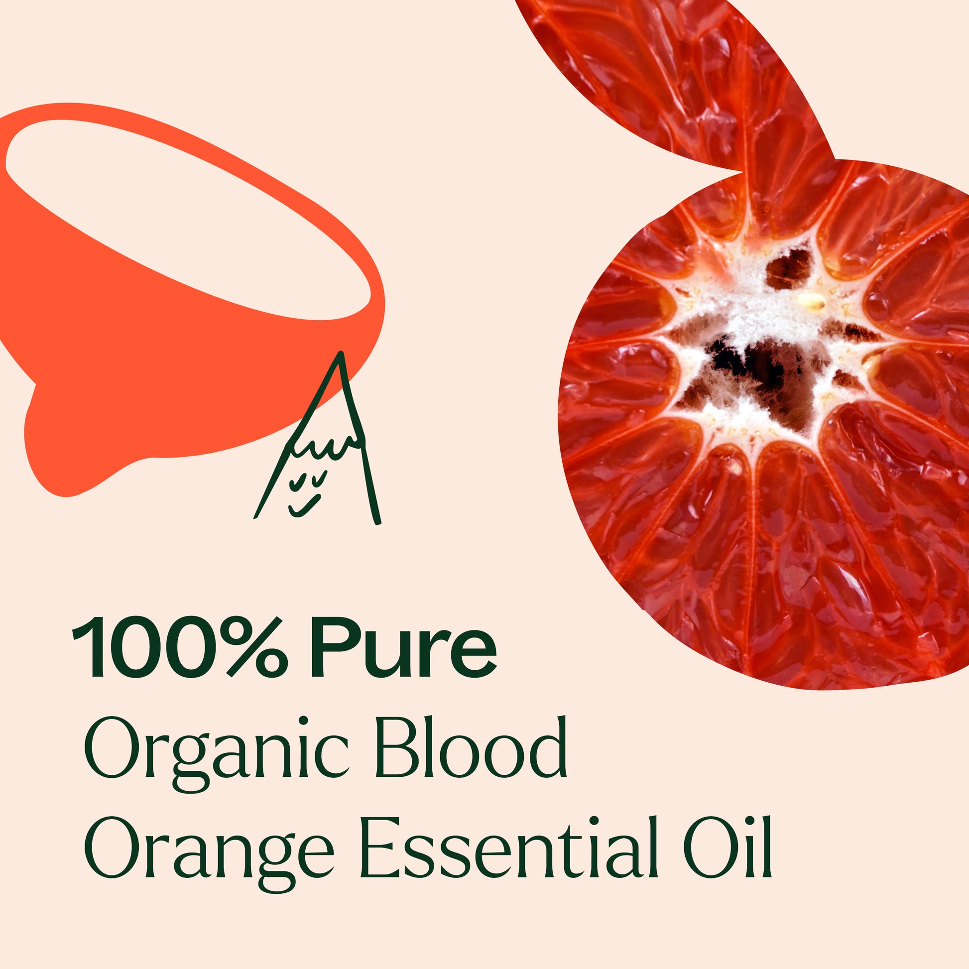 Organic Blood Orange Essential Oil