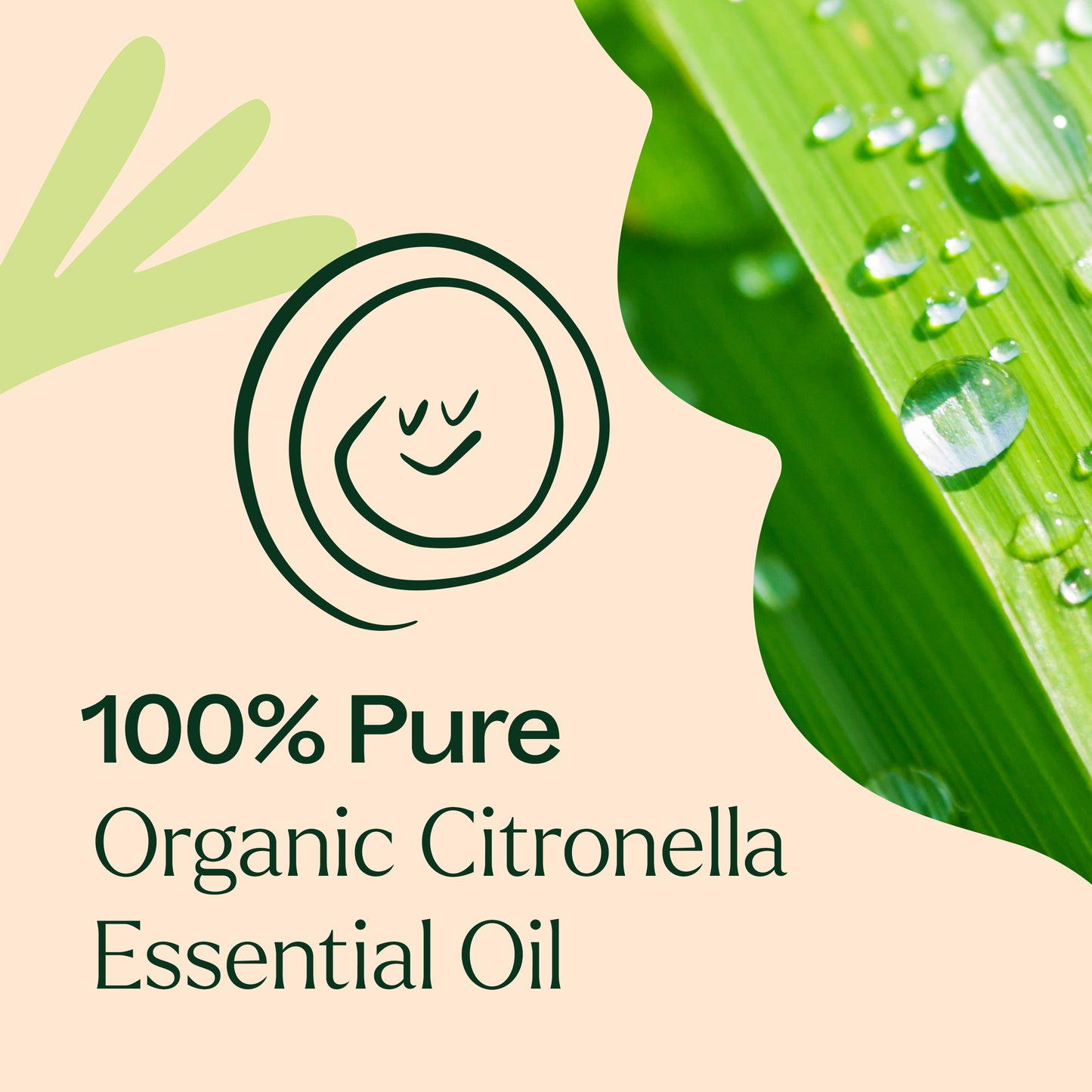 100% Pure Organic Citronella Essential Oil