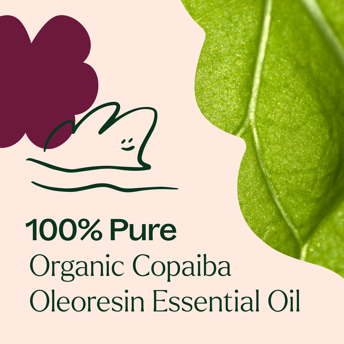100% Pure Organic Copaiba Oleoresin Essential Oil
