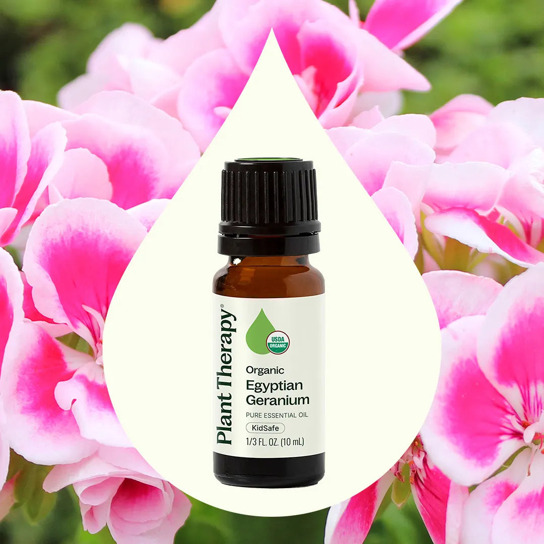 Organic Egyptian Geranium Essential Oil