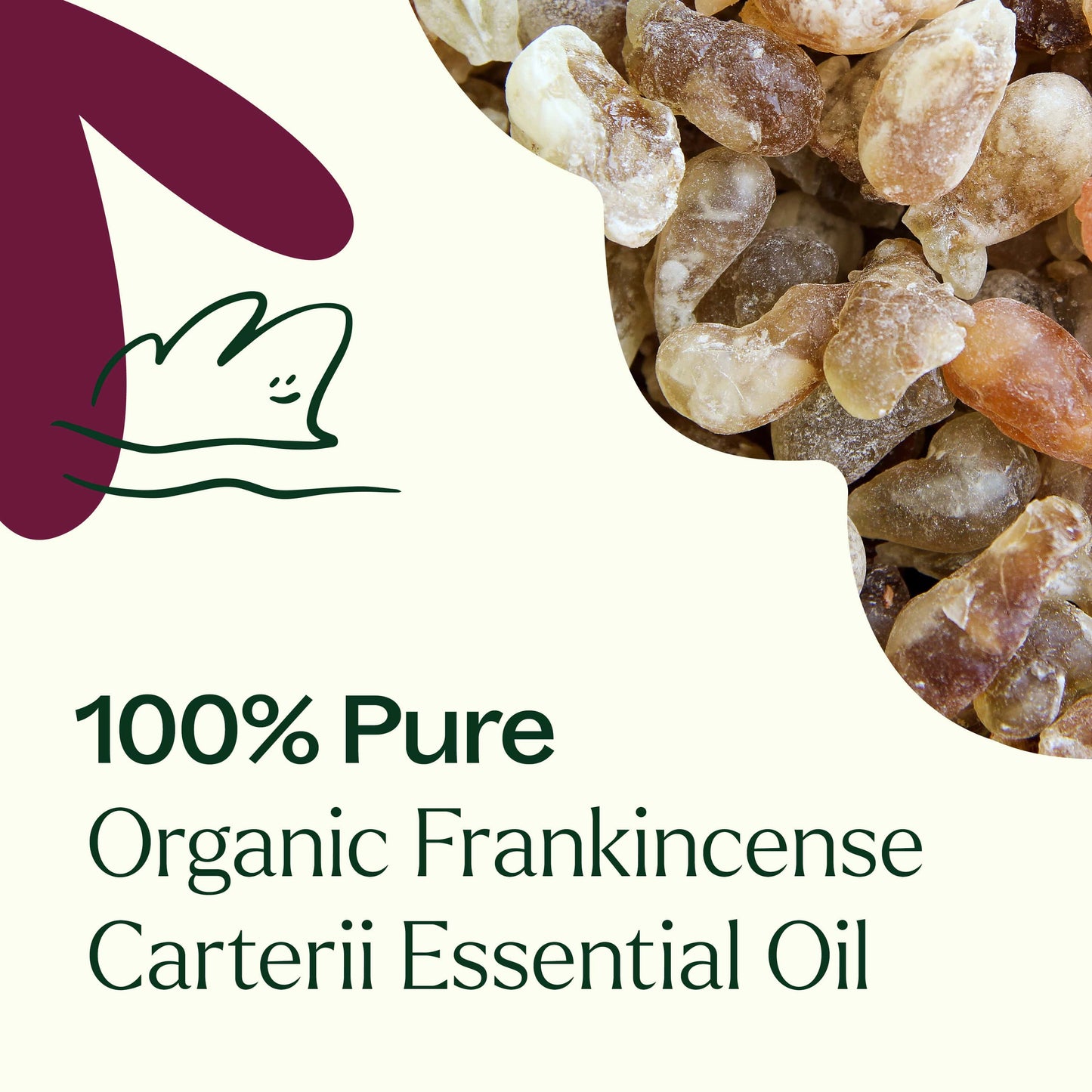 Organic Frankincense Carterii Essential Oil is 100% pure