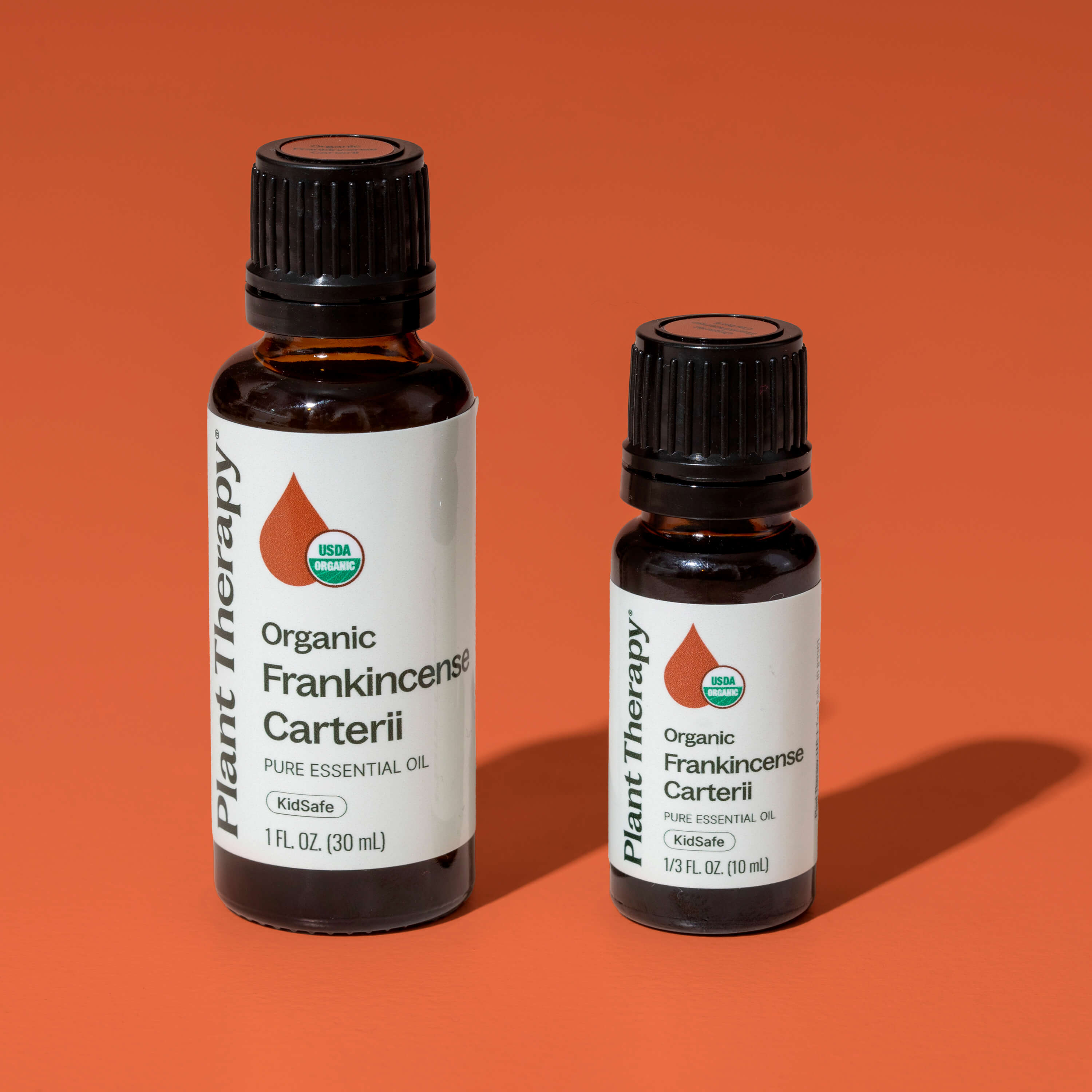 Organic Frankincense Carterii Essential Oil – Plant Therapy