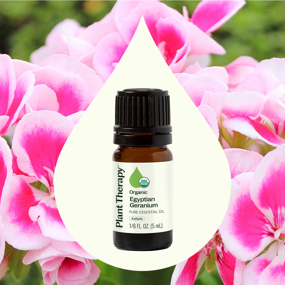 Organic Egyptian Geranium Essential Oil